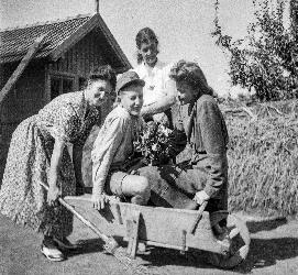 Azopan Photo Archive
